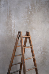 7066 Beige Mid Text L