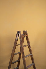 7773 Ochre Low Text ST