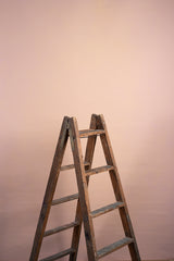 7789 Beige Rose Mid Text ST