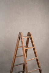 8105 Beige Mid Text L