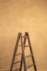 8156 Ochre Mid Text M