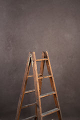 8268 Warm Grey Mid Text ST