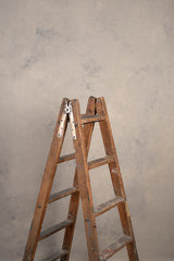 8365 Light Warm Grey Mid Text ST
