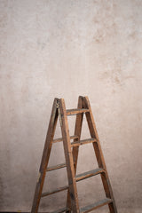 8443 Beige Mid Text L