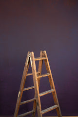 8498 Violet Mid Text M