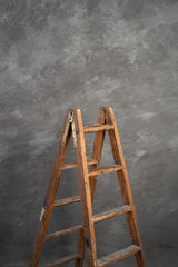 8534 Cold Grey Mid Text ST