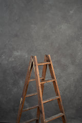 8536 Cold Grey Mid Text ST