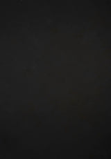 860 Cold Grey Low Text L+
