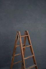 8636 Cold Gray Mid L