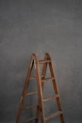 8637 Cold Gray Mid Text L