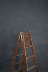 8647 Cold Gray Mid Text M
