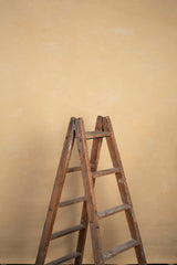 8765 Ochre Low Text ST
