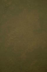 8858 Green Low text XS