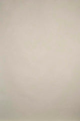 9530 Light Beige Low Text L