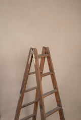 9962 Light Beige Low Text ST