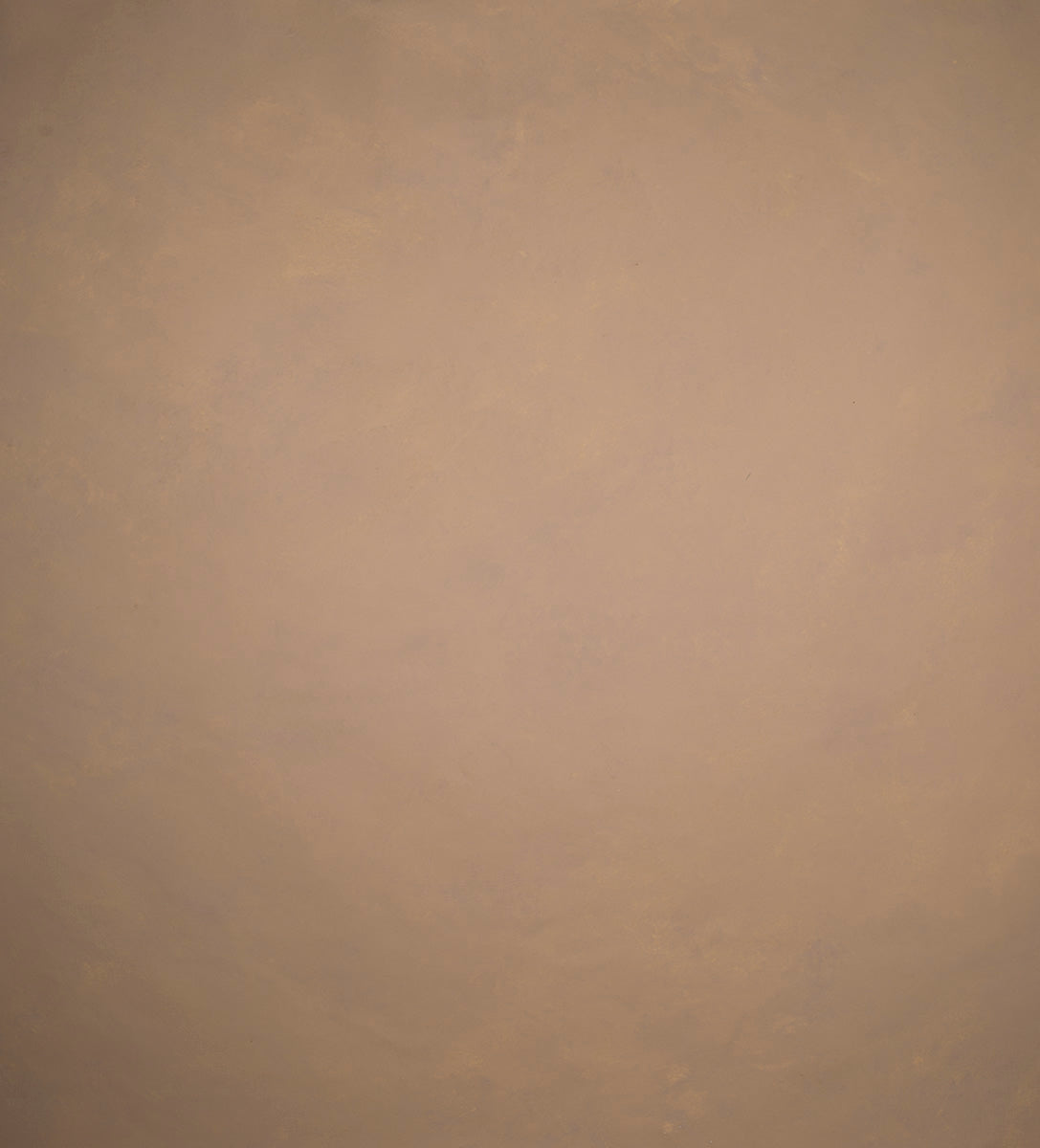 Beige Hand Painted Backdrop Low Text L+ Size 1443