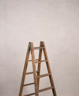 Beige Hand Painted Backdrop Low Text L Size 15554