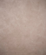 Beige Hand Painted Backdrop Mid Text L Size 15544