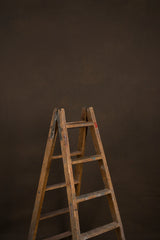 Brown Hand Painted Backdrop Mid Text ST Size 15499