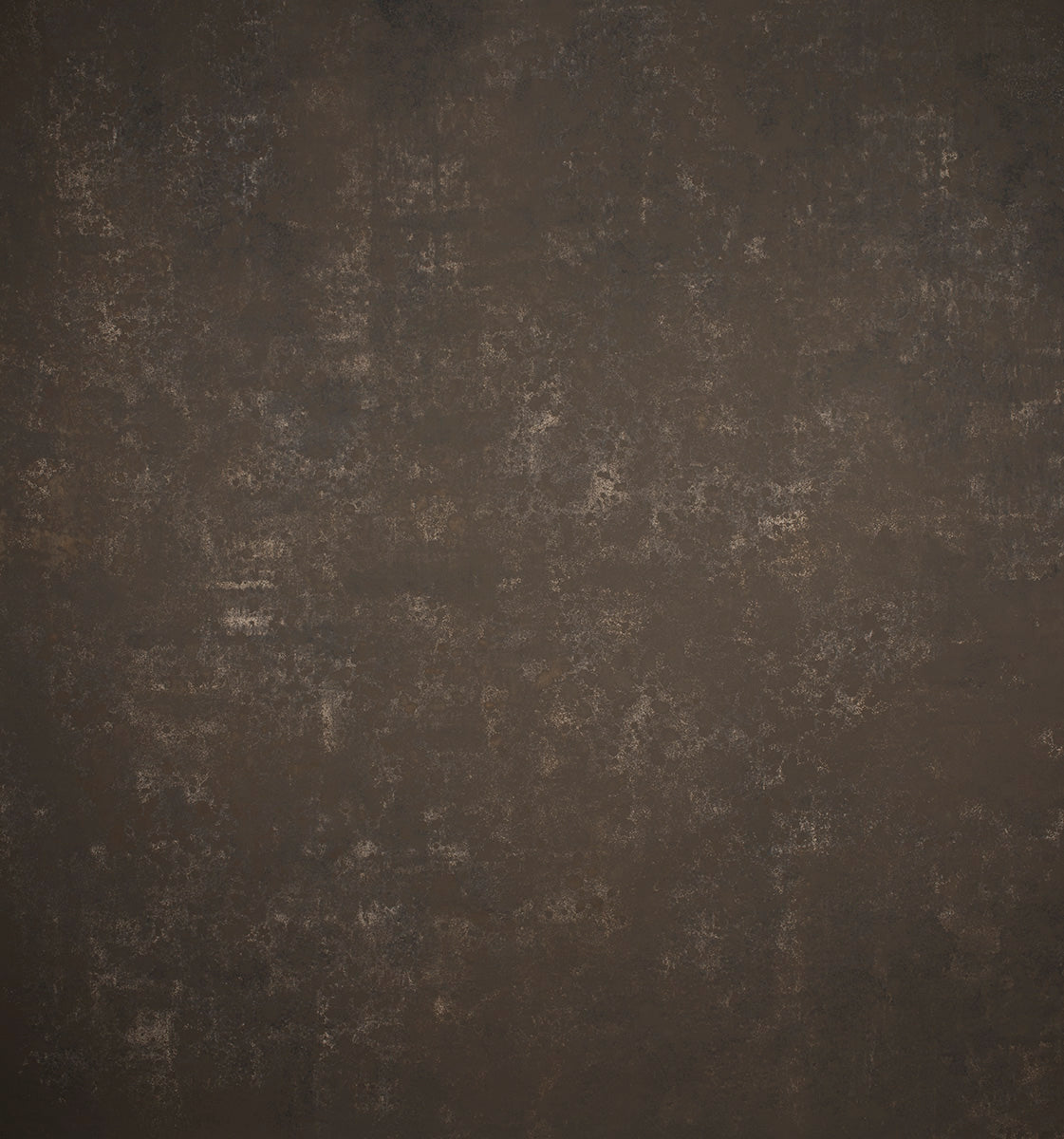Brown Hand Painted Backdrop Strong Text L+ Size 1444