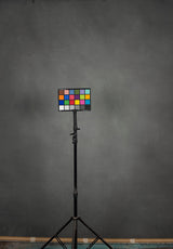 Grey Hand Pained Backdrop Low Text L Size 15400