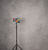 Grey Hand Painted Backdrop Mid Text L+ Size 1447