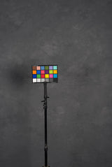 Grey Hand Painted Backdrop Mid Text ST Size 15506