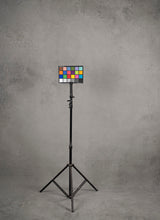Grey Hand Painted Backdrop Mid Text XL Size 1428