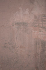 Grey Rose Hand Painted Backdrop Mid Text ST Size 15507