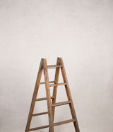 Light Beige Hand Painted Backdrop Low Text L Size 15555