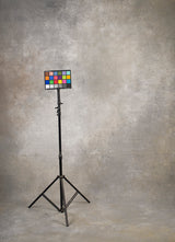 Warm Grey Hand Painted Backdrop Strong Text XL Size 1429