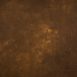 341-Brown-Mid-Text-L.jpg