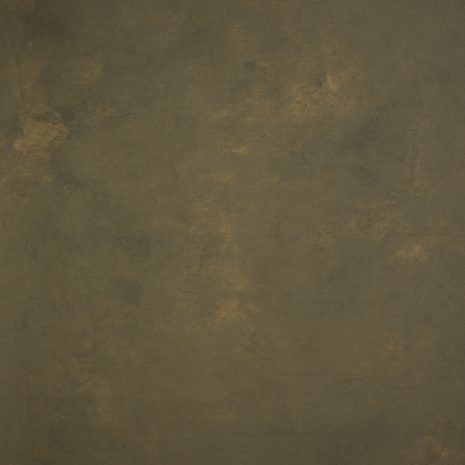 5393-Olive-Brown-Low-Text-MID.jpg
