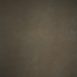 5557-Warm-Grey-Mid-Text-L.jpg