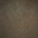 5559-Warm-Grey-Mid-Text-L.jpg