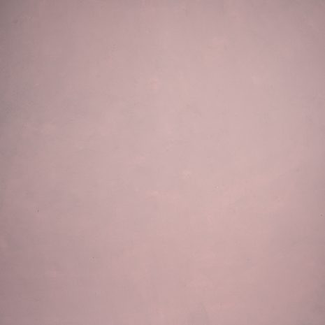 596-Rose-Mid-Text-XL.jpg
