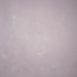 6313-Rose-Low-Text-M-IS.jpg