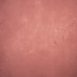 6655-Rose-Mid-Text-L.jpg