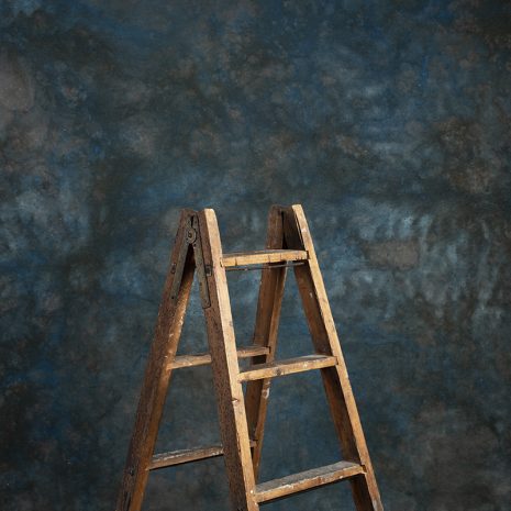 7295-Brown-Blue-Mid-Text-La.jpg