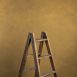 7905-Ochre-Mid-Text-La.jpg