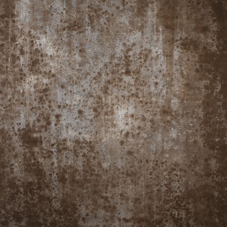 7938-Grey-Brown-Strong-Text-M.jpg