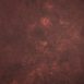 8134-Red-Mid-Text-M.jpg