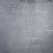 8212-Cold-Grey-Mid-Text-L.jpg
