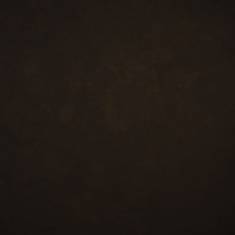 9036-Brown-Low-text-L.jpg
