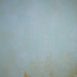 9227-Tirquize-Mid-Text-M.jpg