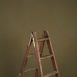 9464-Green-Low-Text-La.jpg