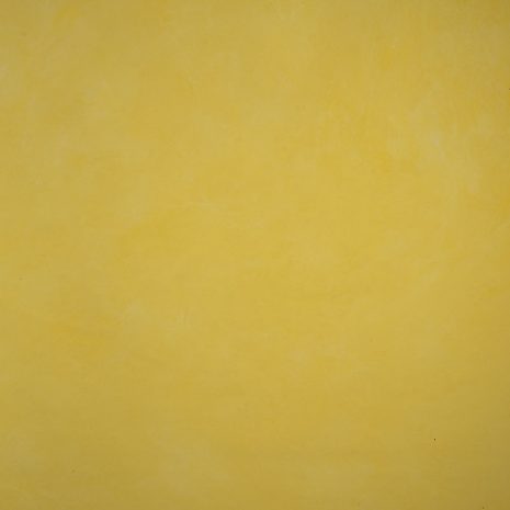 9699 Yellow Low Text L