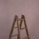 9791 Rose Low Text STa