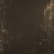 10286 Brown Stront Text MID