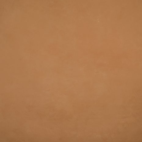 10370 Ochre LowText L